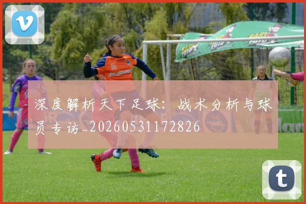 深度解析天下足球：战术分析与球员专访_20260531172826